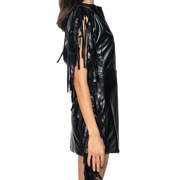 Xena Nashville at Night: Vegan Leather Black Fringe Mod Sheath Plunge Back Dress - Picture 6 of 6